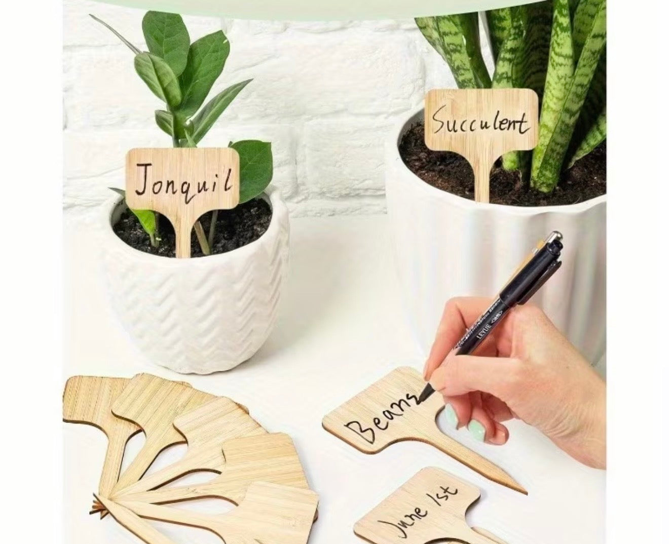 Bamboo Plant Labels