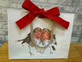 Small Robin Gift Bag
