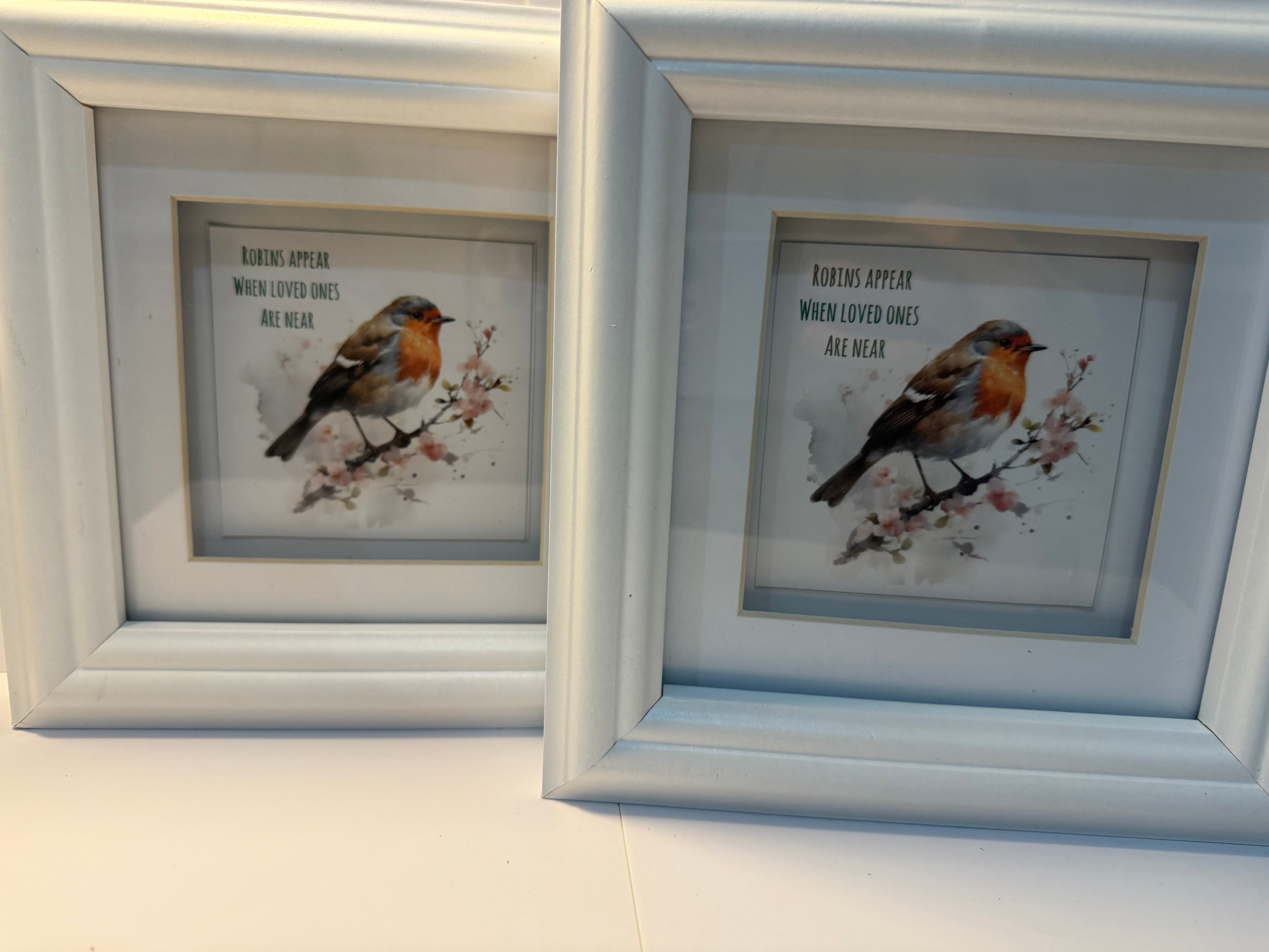 Robin Memory Frame Picture