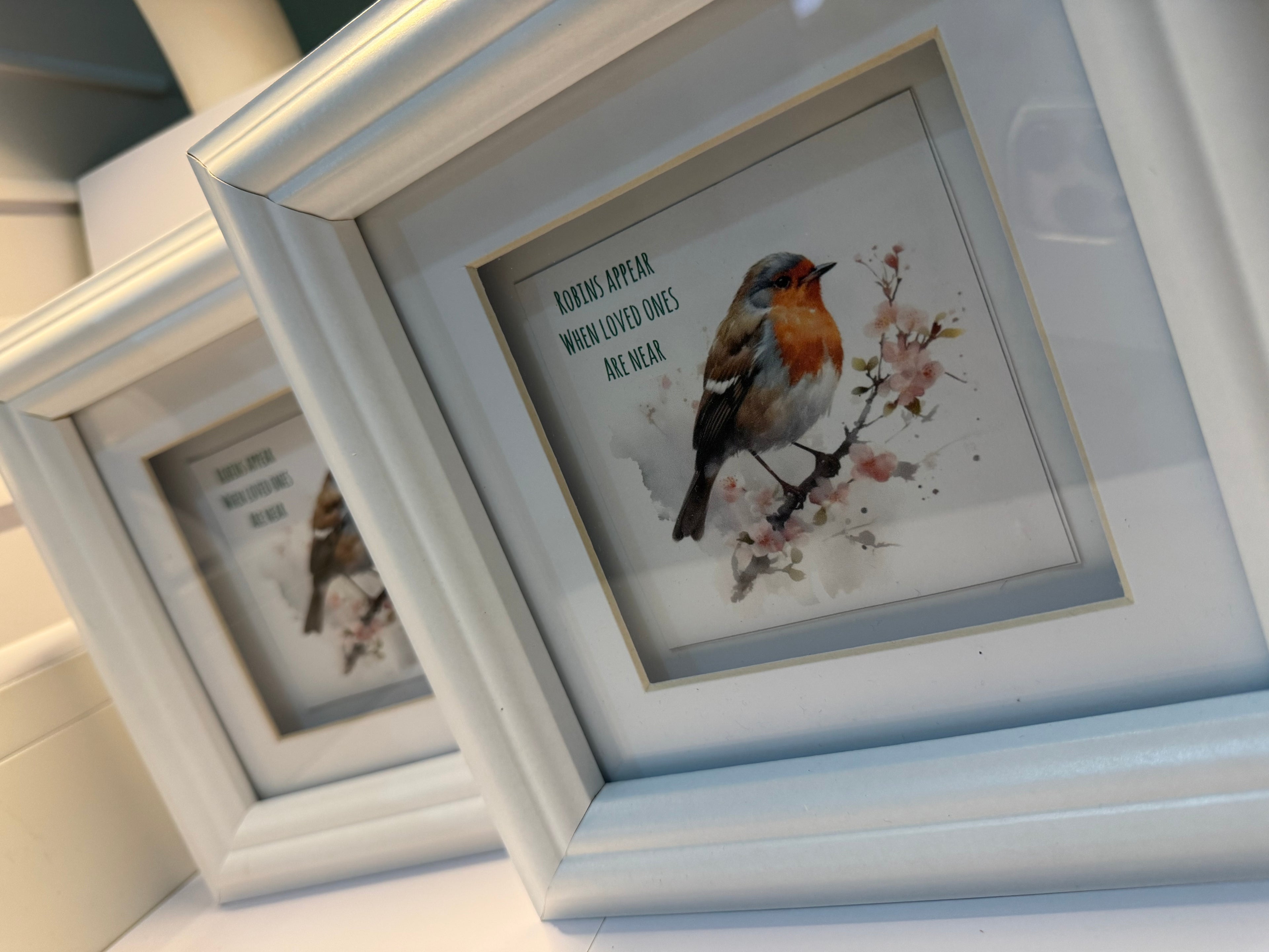 Robin Memory Frame Picture