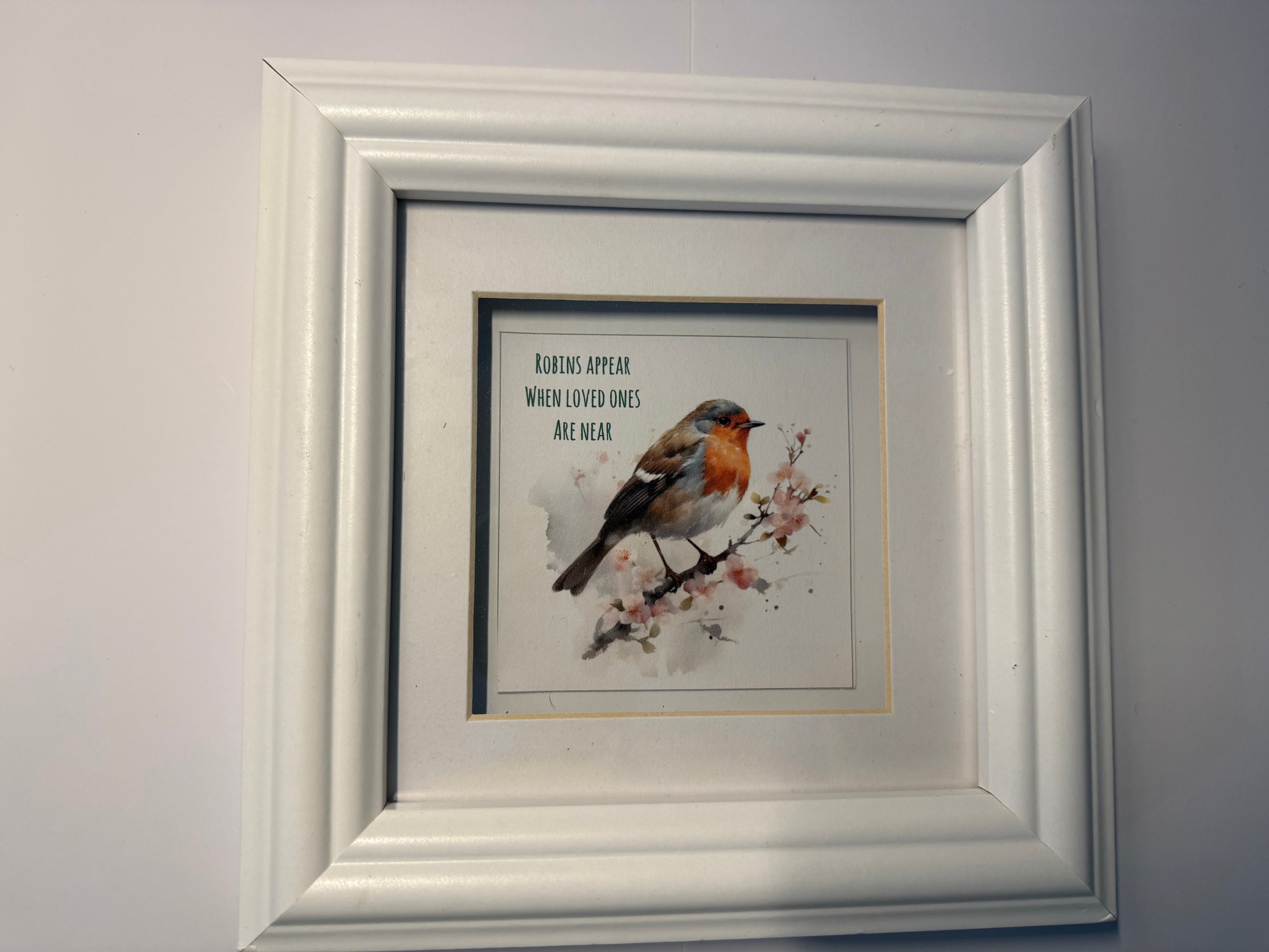 Robin Memory Frame Picture