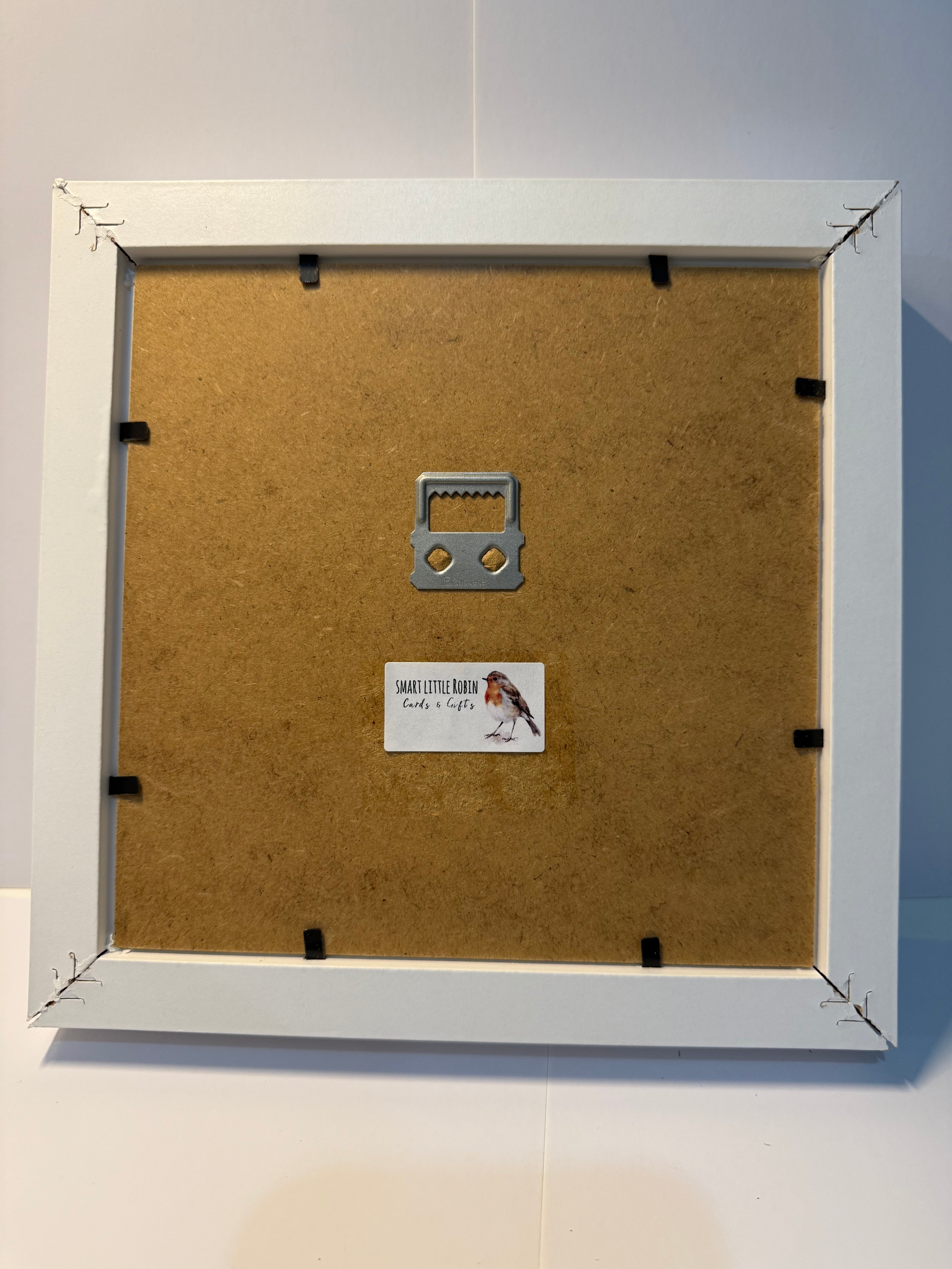 Robin Memory Frame Picture