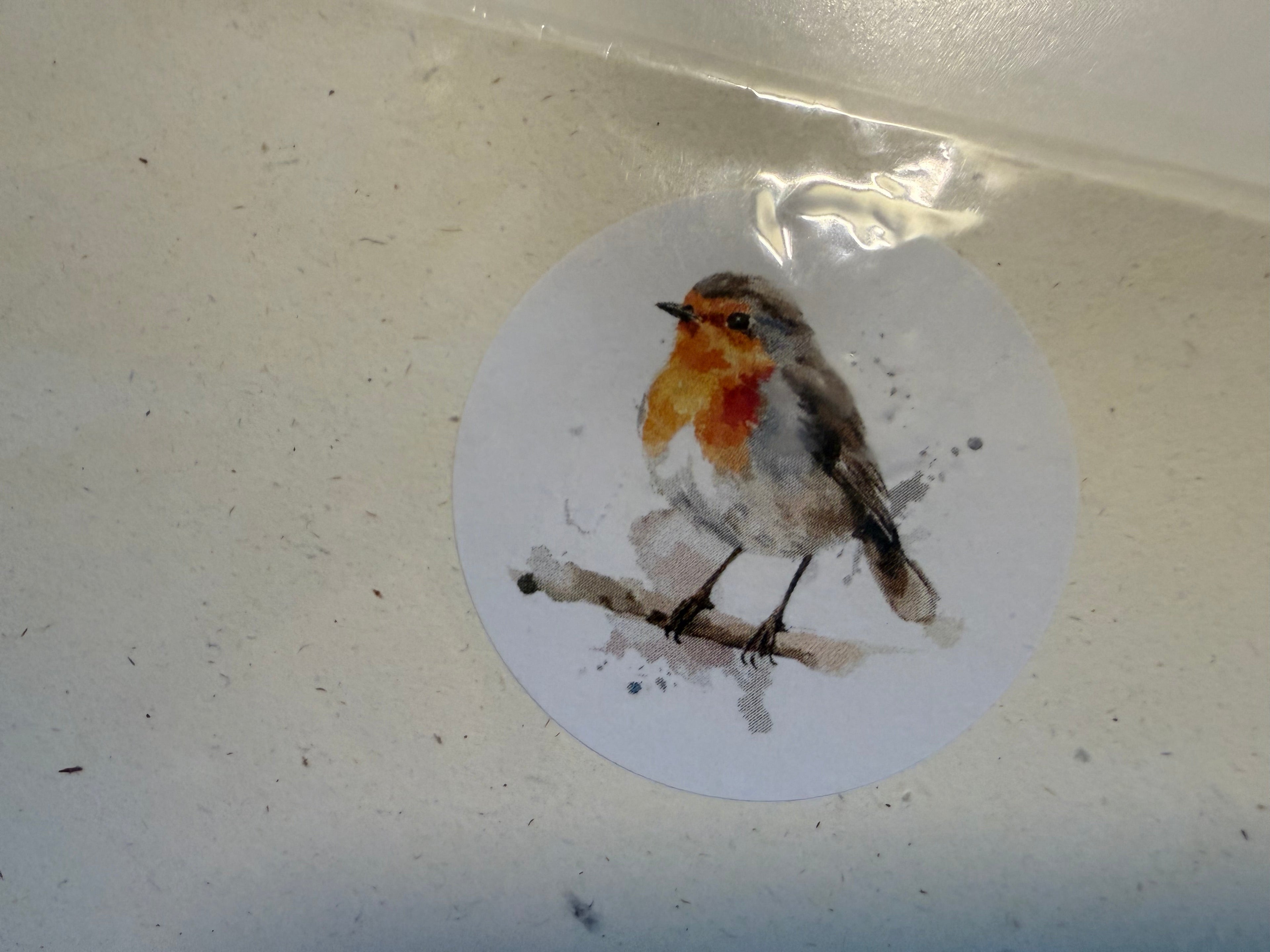 Robin Writing Paper Set