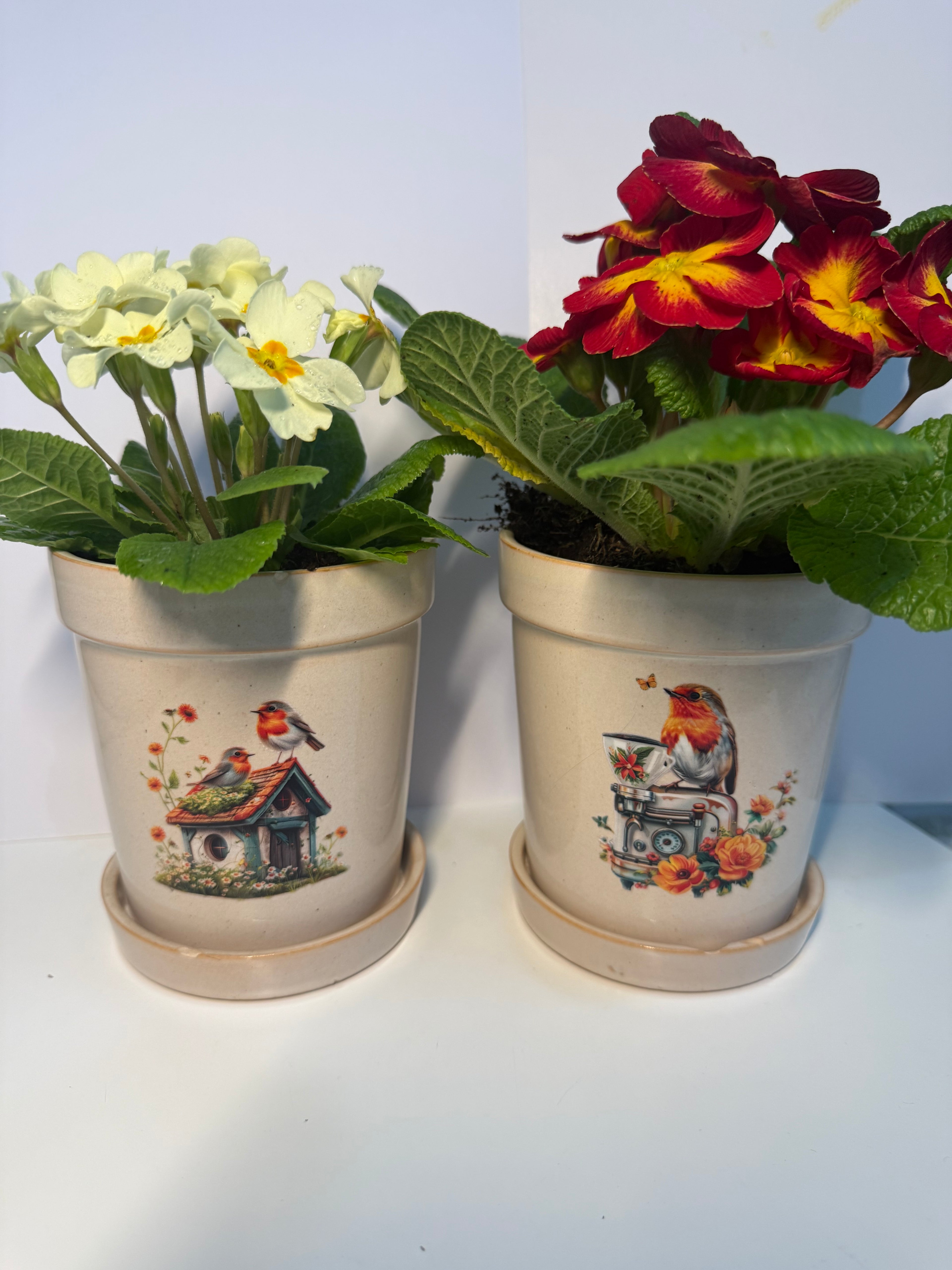 Ceramic Robin Plant Pot