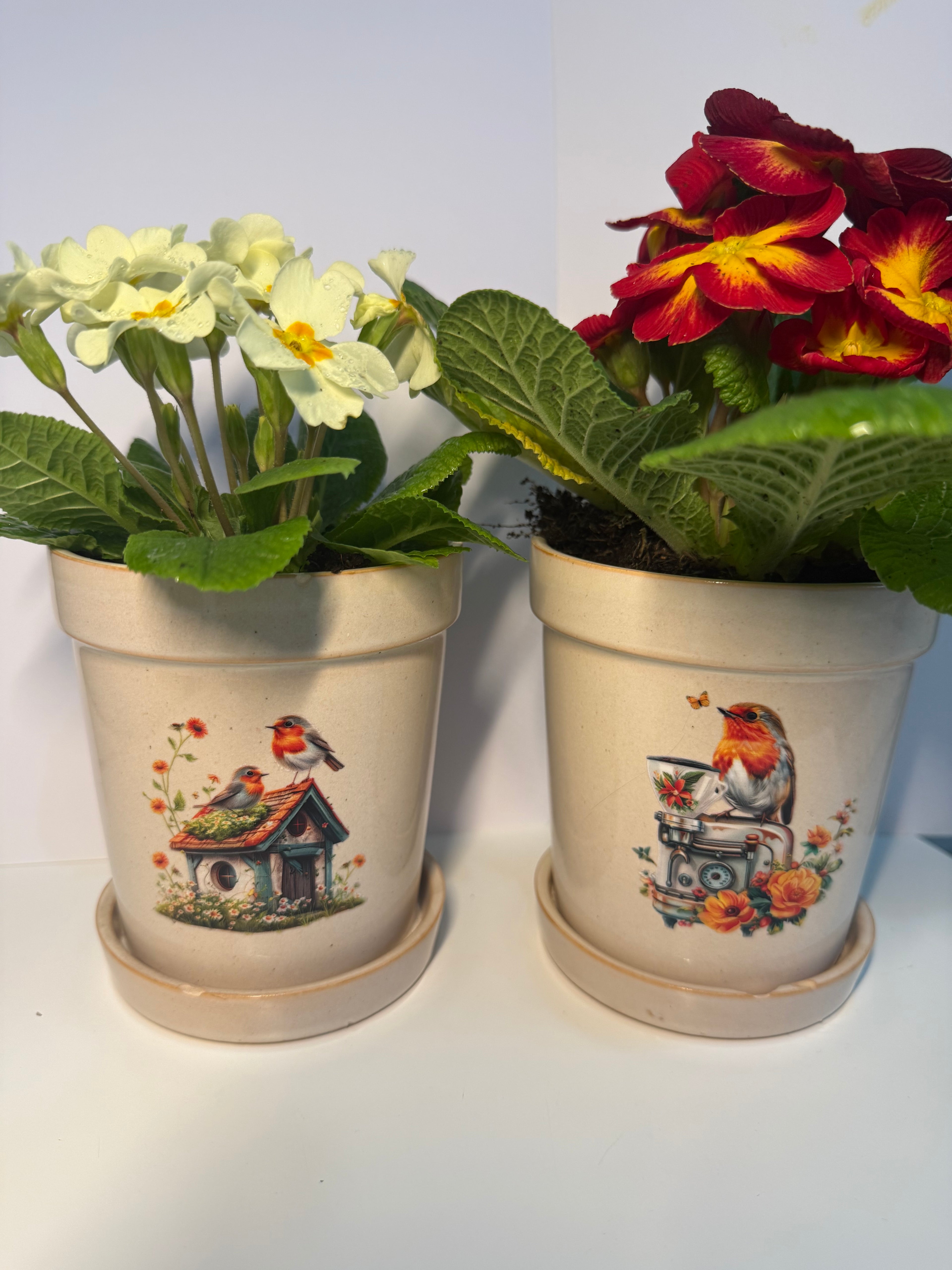 Ceramic Robin Plant Pot