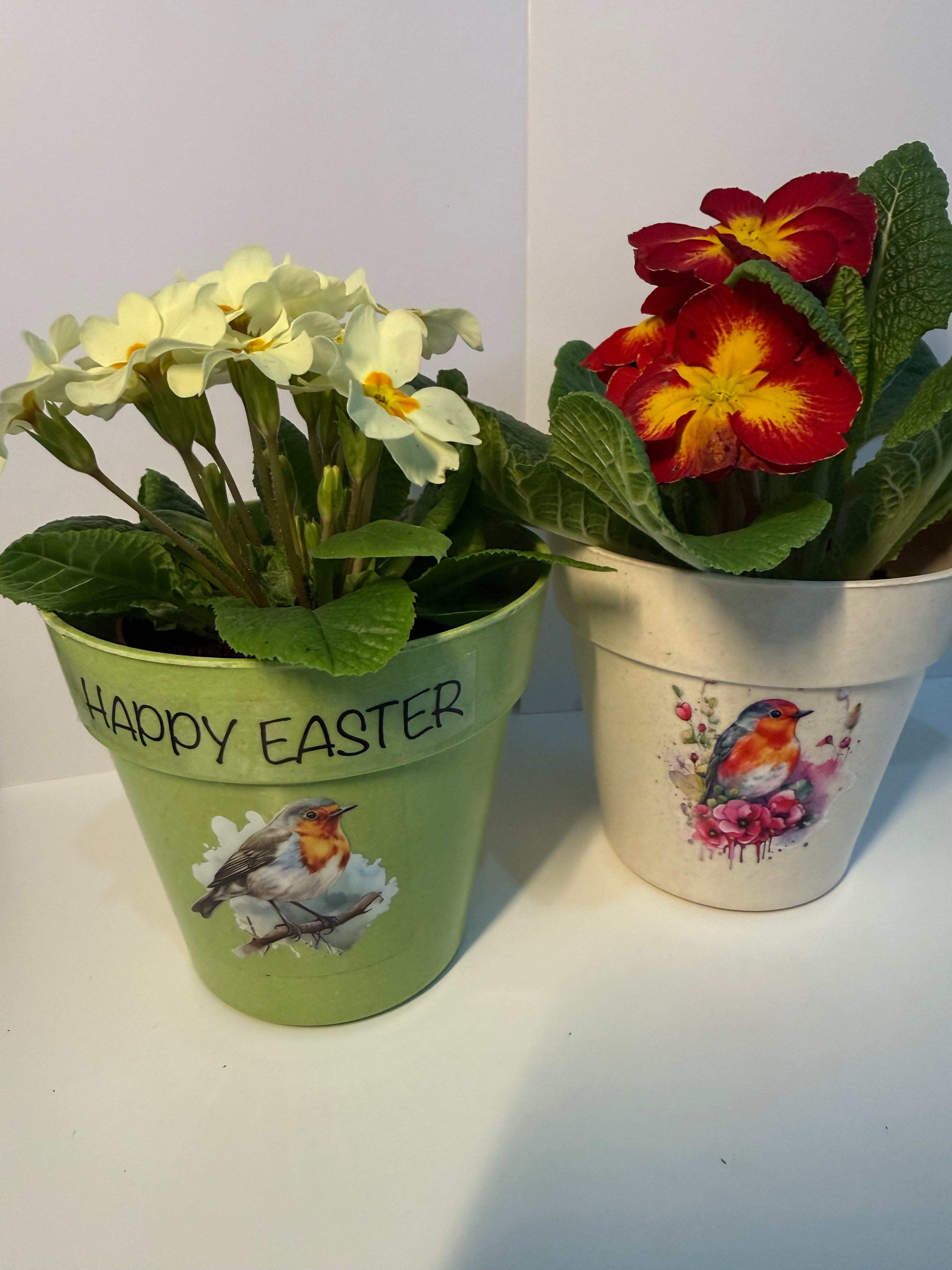 Bamboo Robin Plant Pot