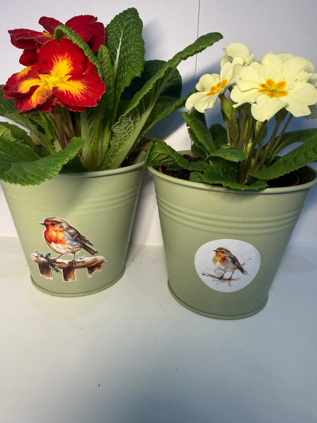 Small Robin Tin Plant Pot