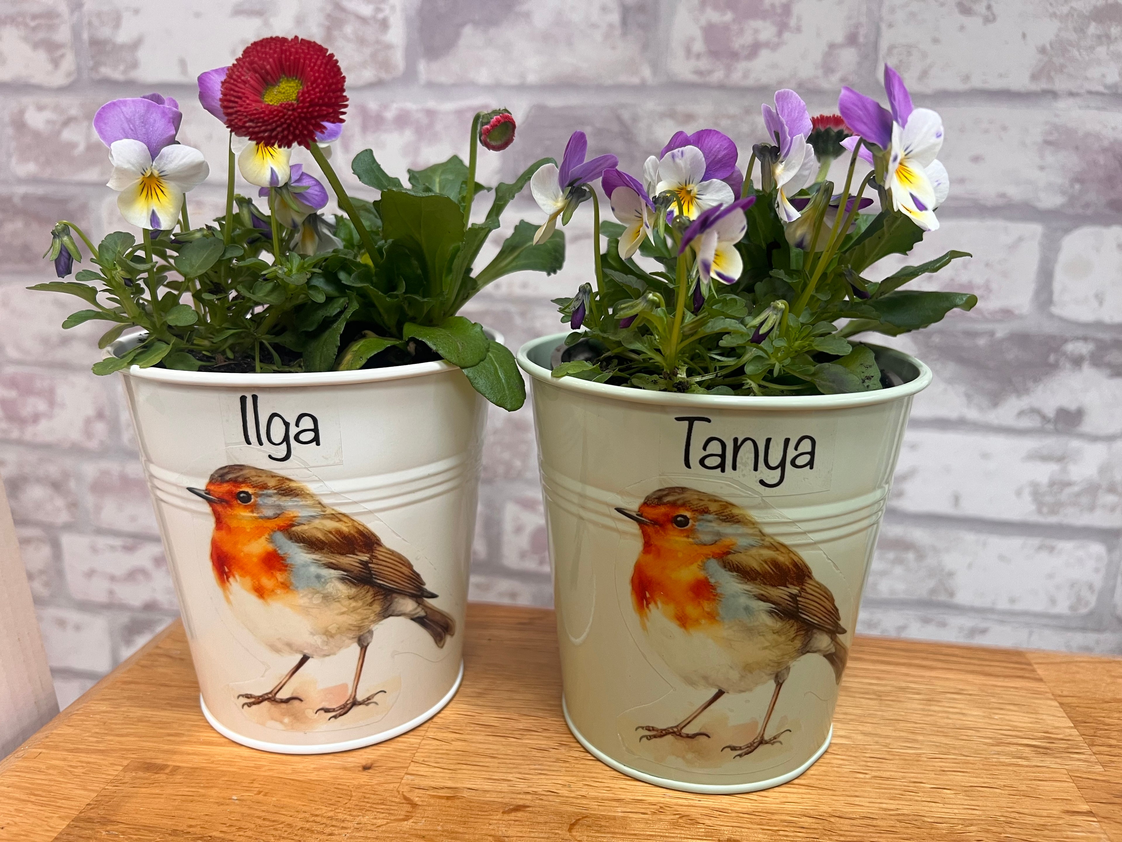 Robin Tin Plant Pot