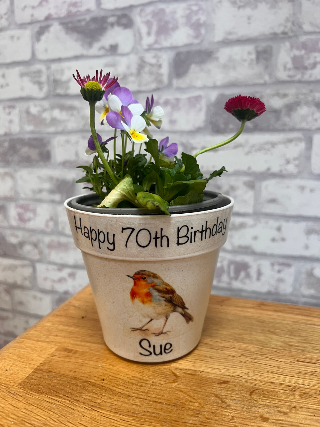 Bamboo Robin Plant Pot