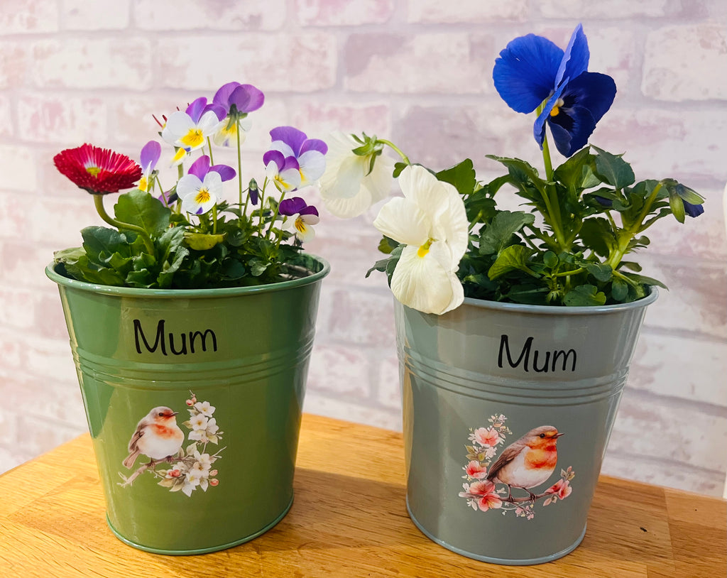 Robin Tin Plant Pot