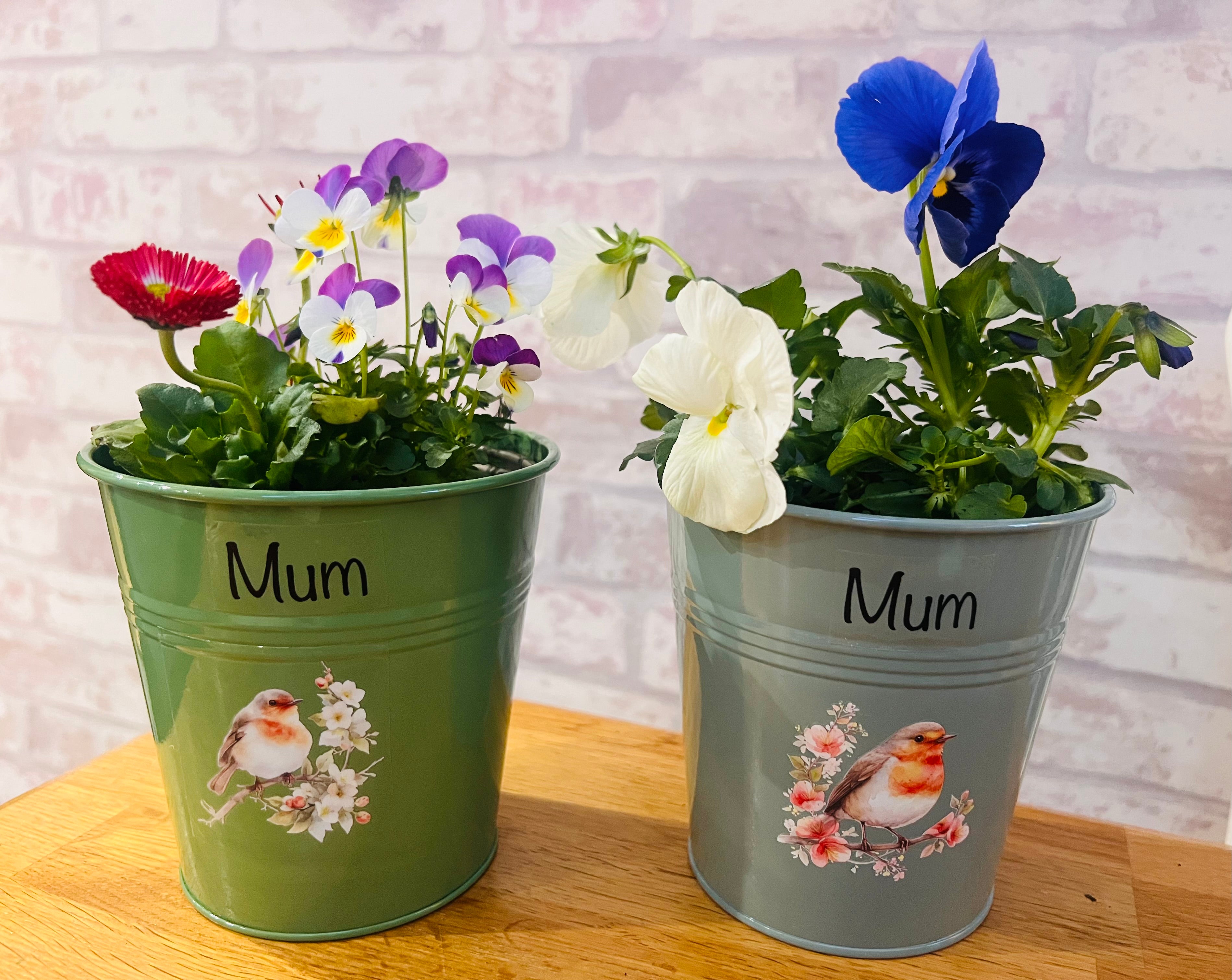 Robin Tin Plant Pot