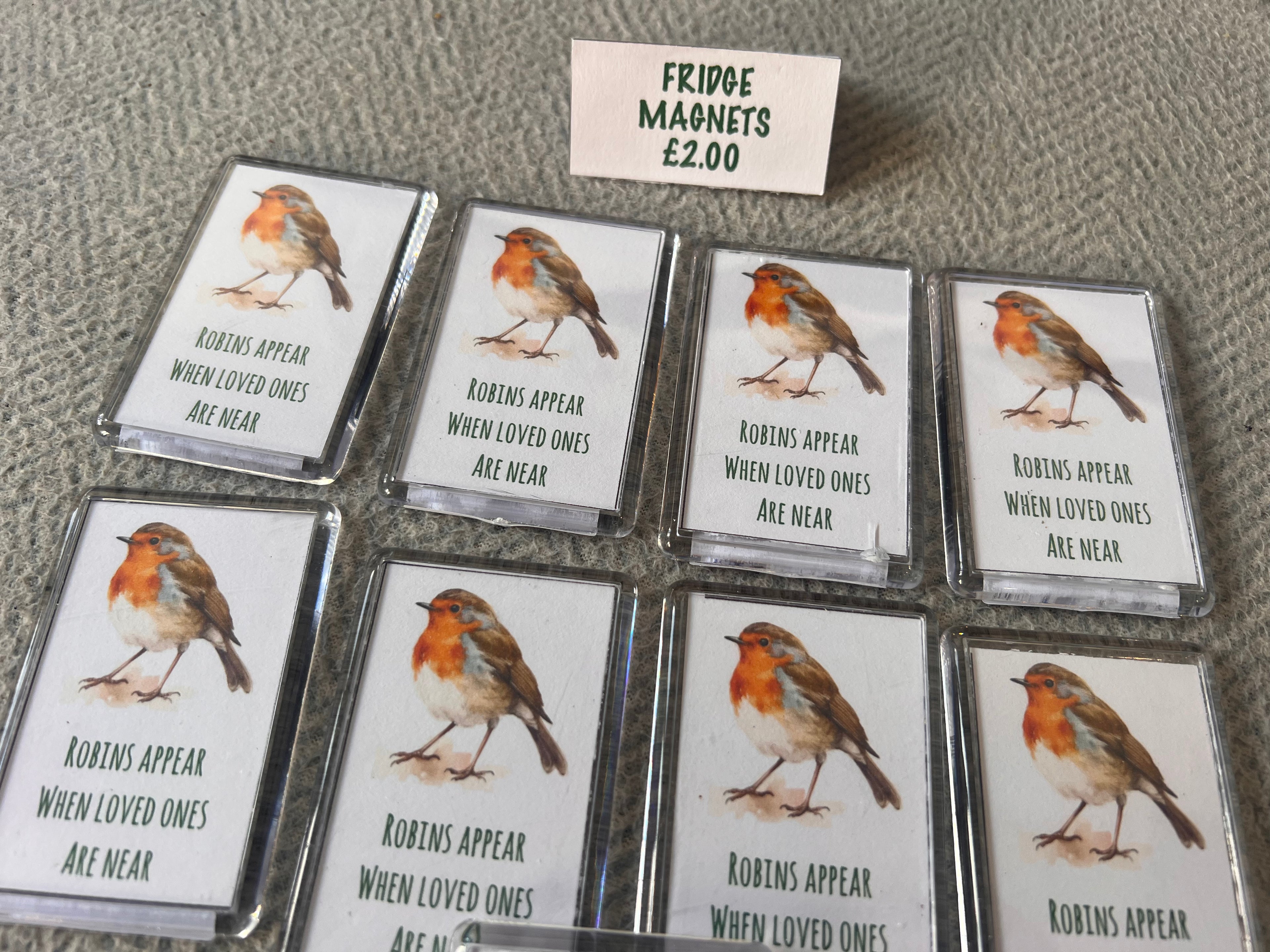 Robin Fridge Magnets