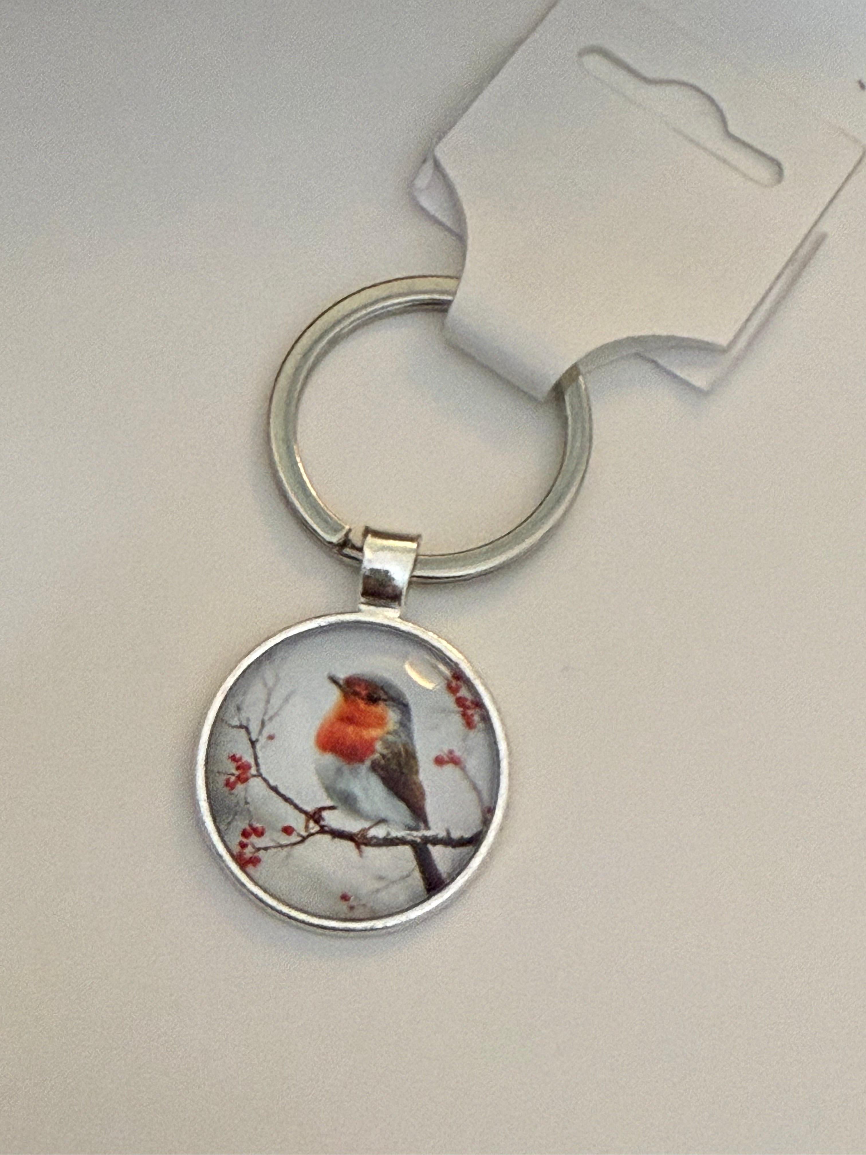Silver Dome Robin Keyring