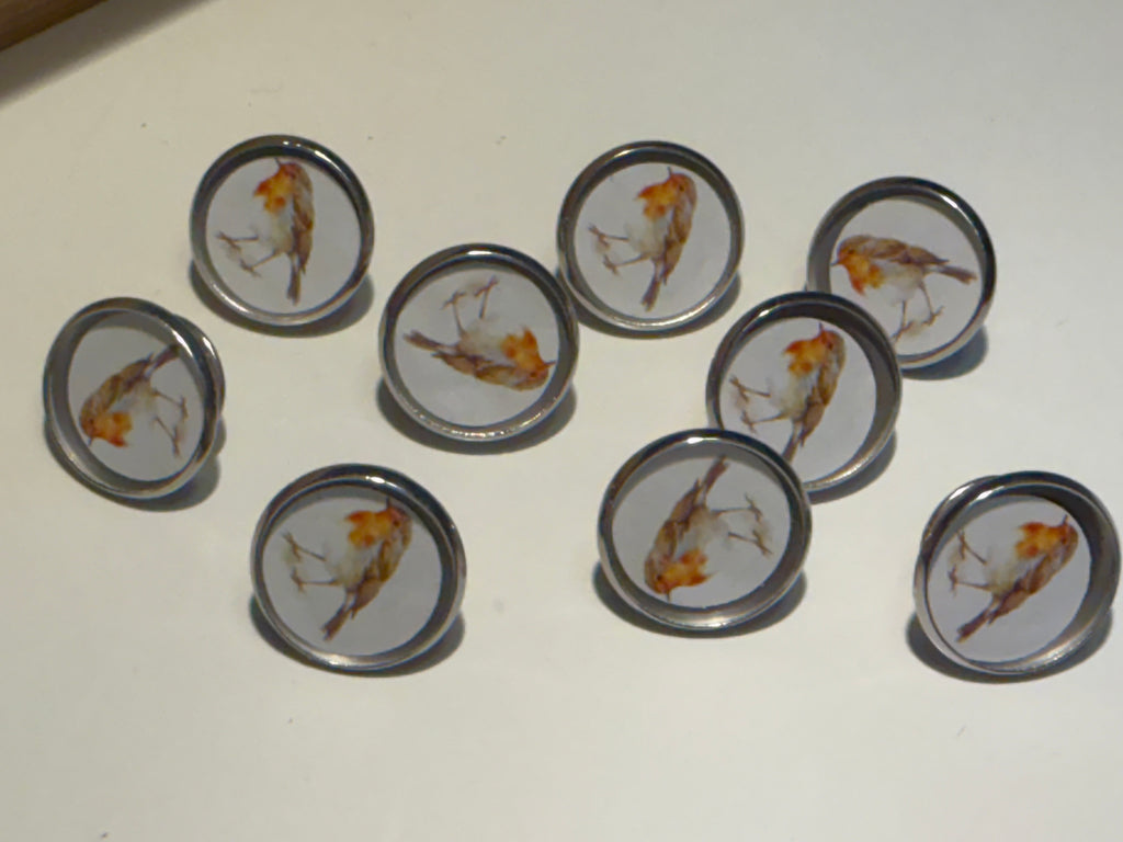 Robin Pin Badge