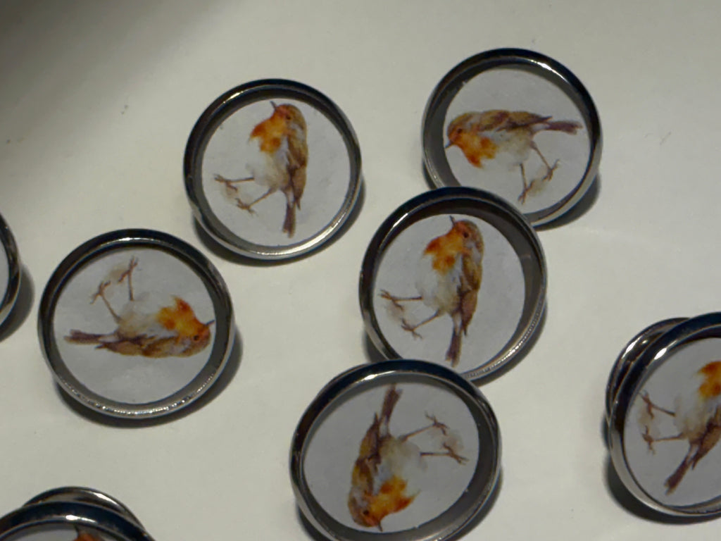 Robin Pin Badge