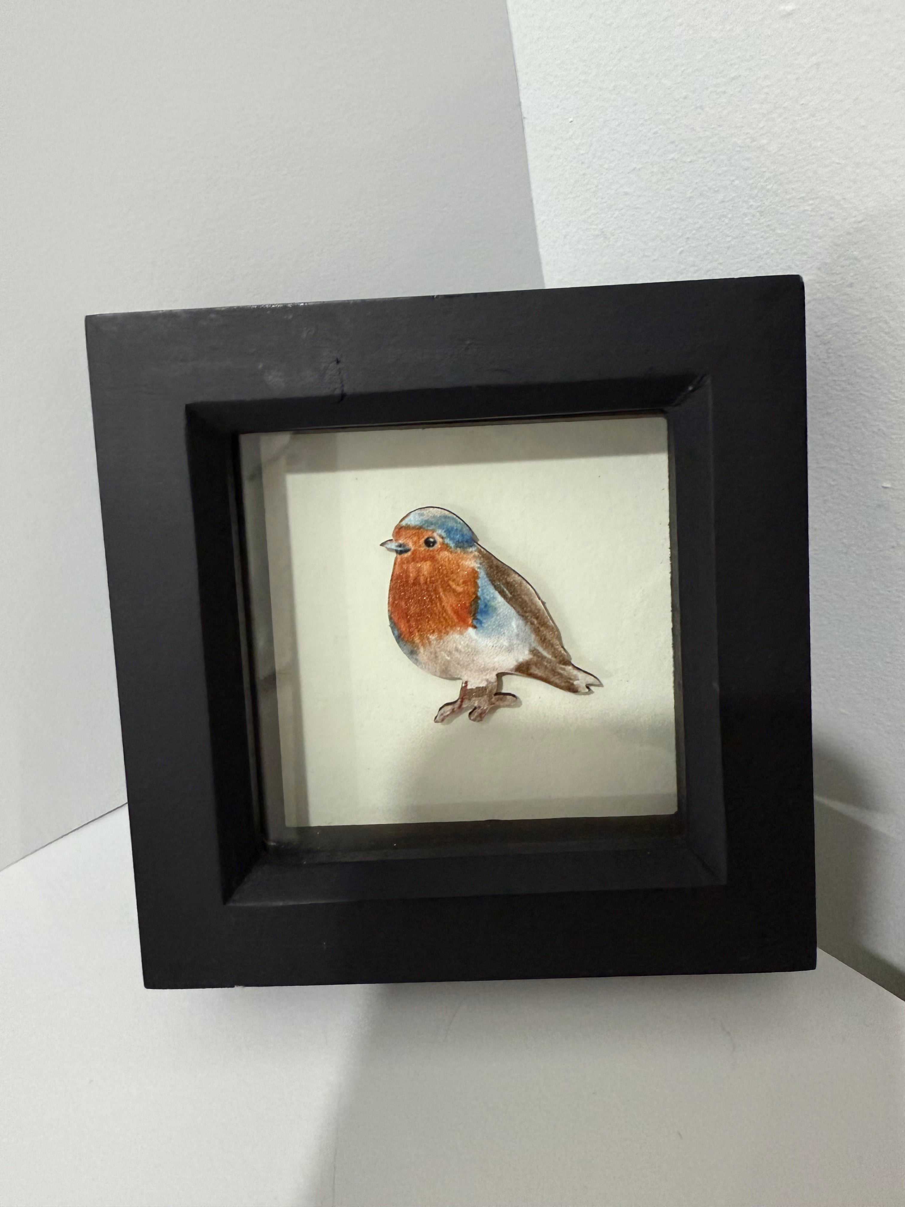 Box Framed Robin Picture