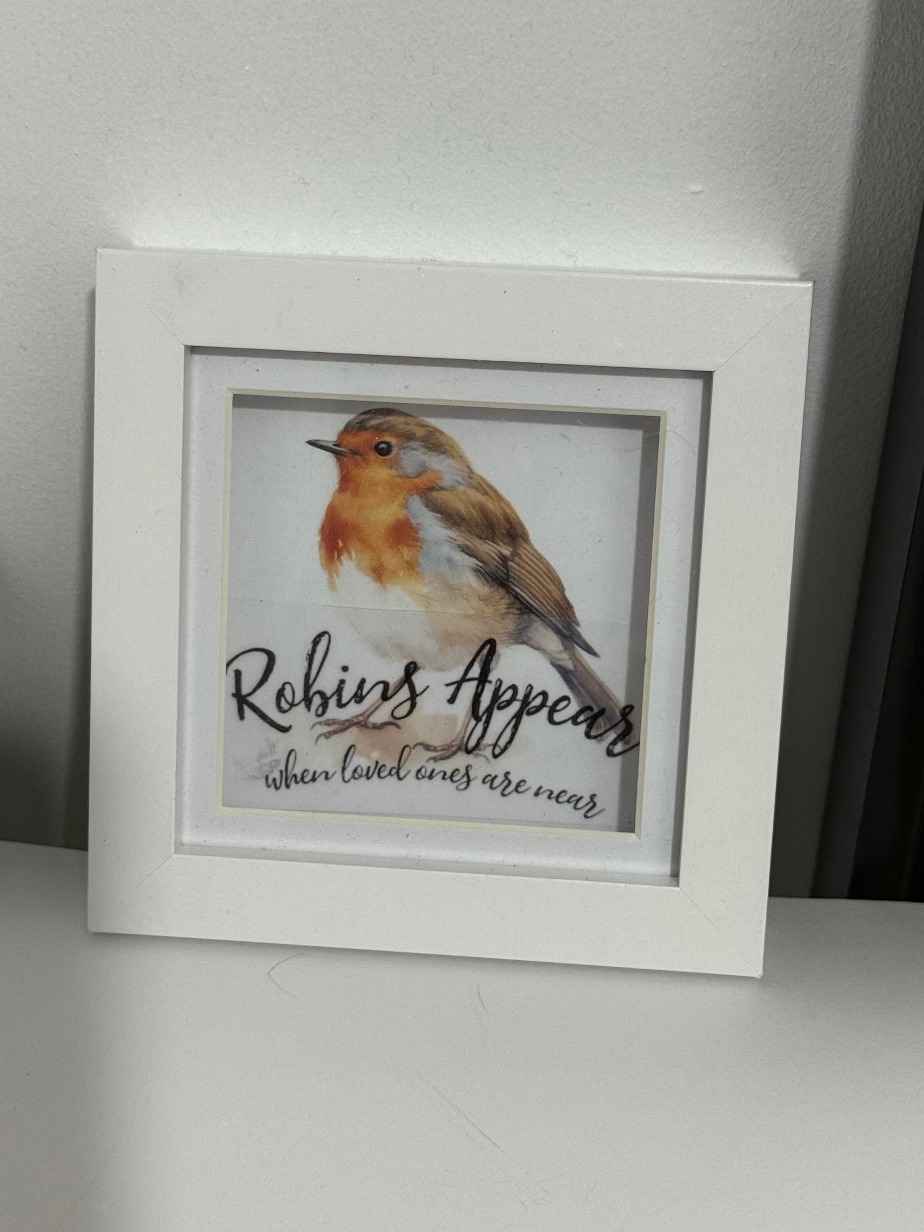 Box Framed Robin picture