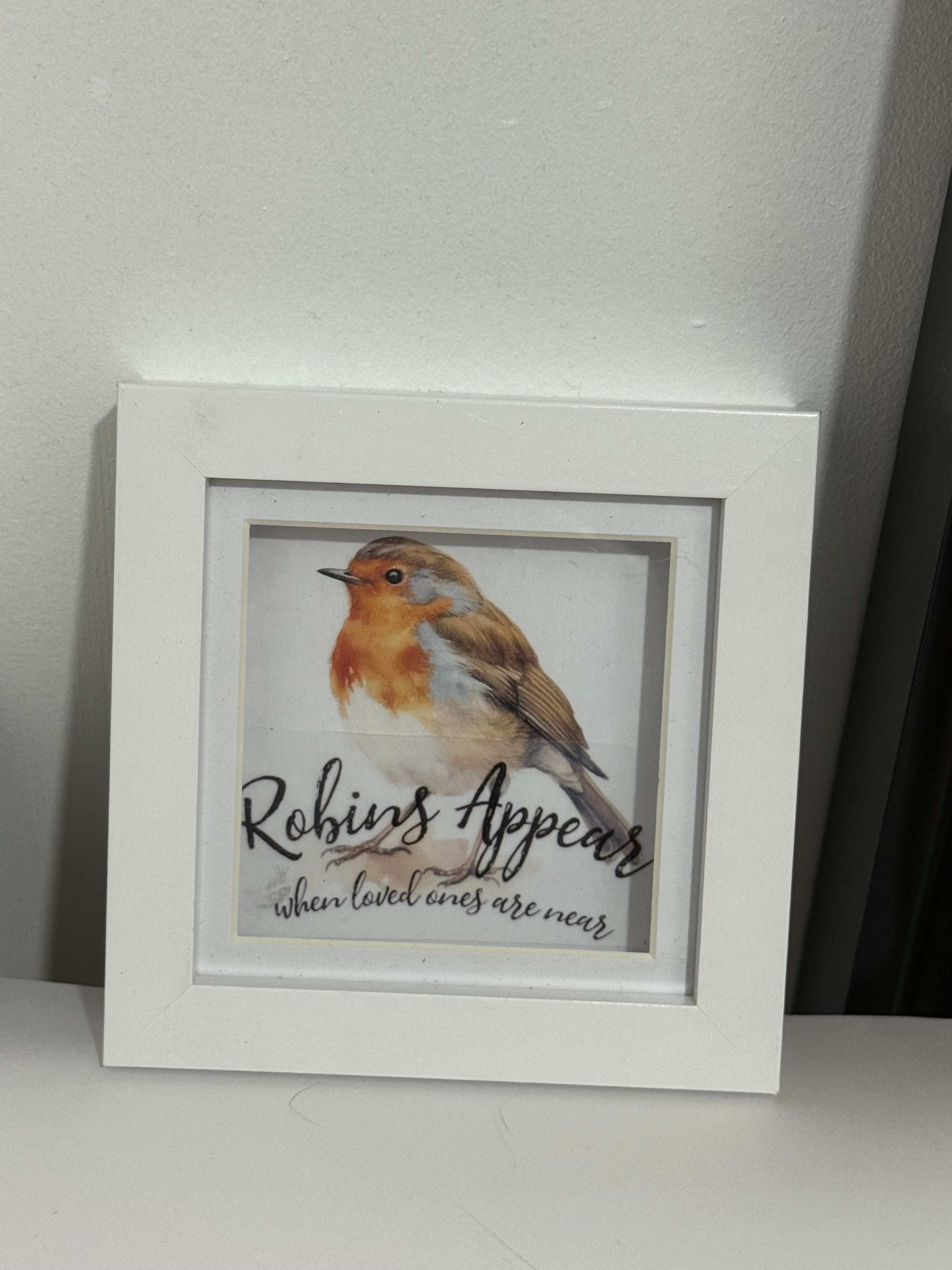 Box Framed Robin picture