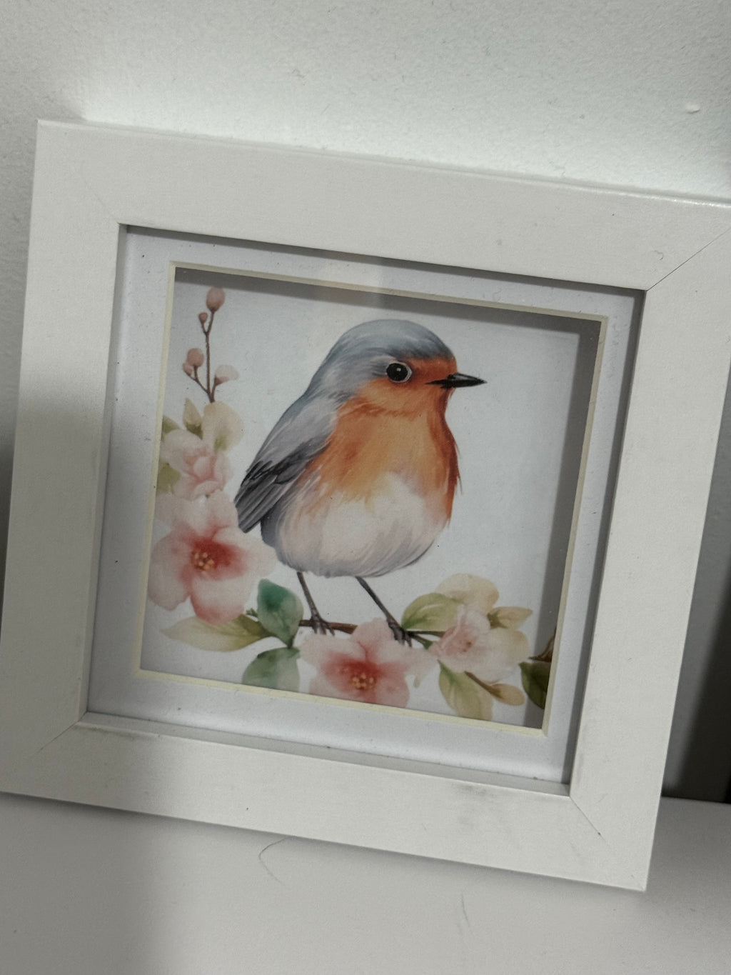 Box Framed Robin Picture
