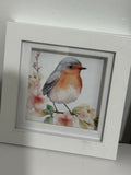 Box Framed Robin Picture