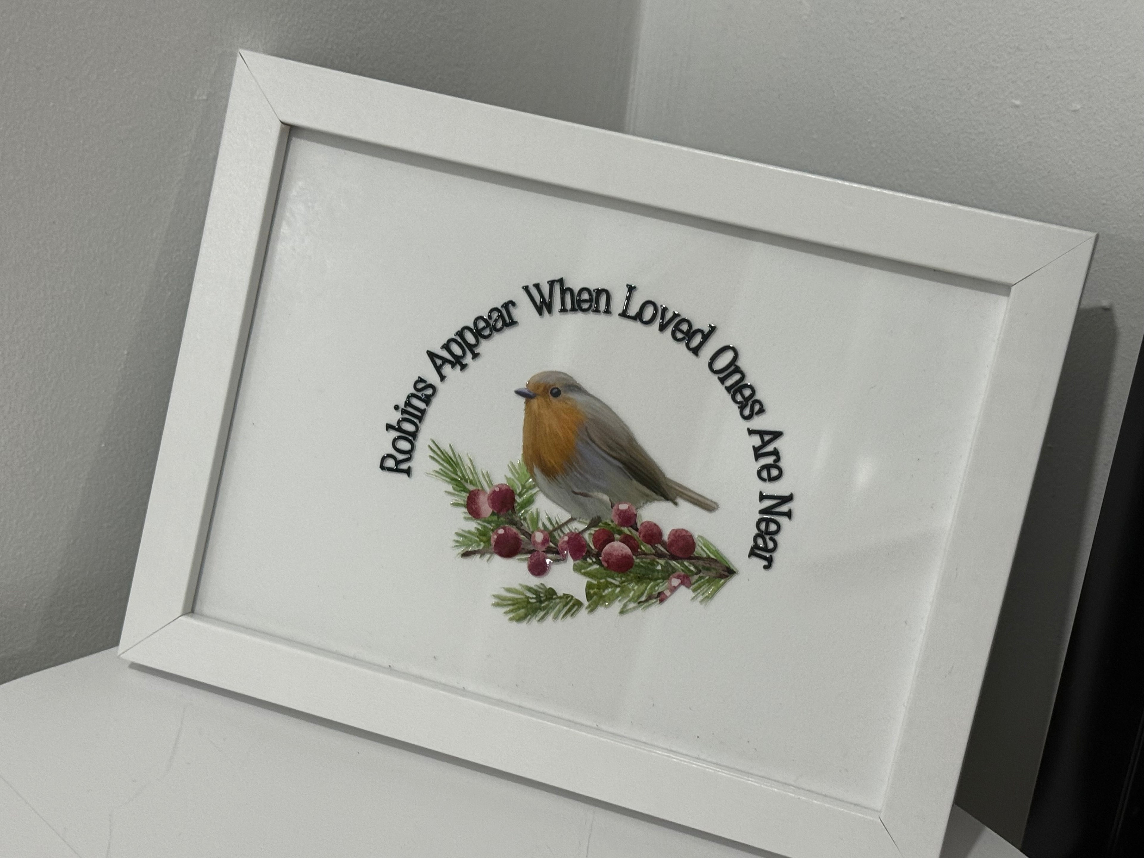 Framed Robin Picture