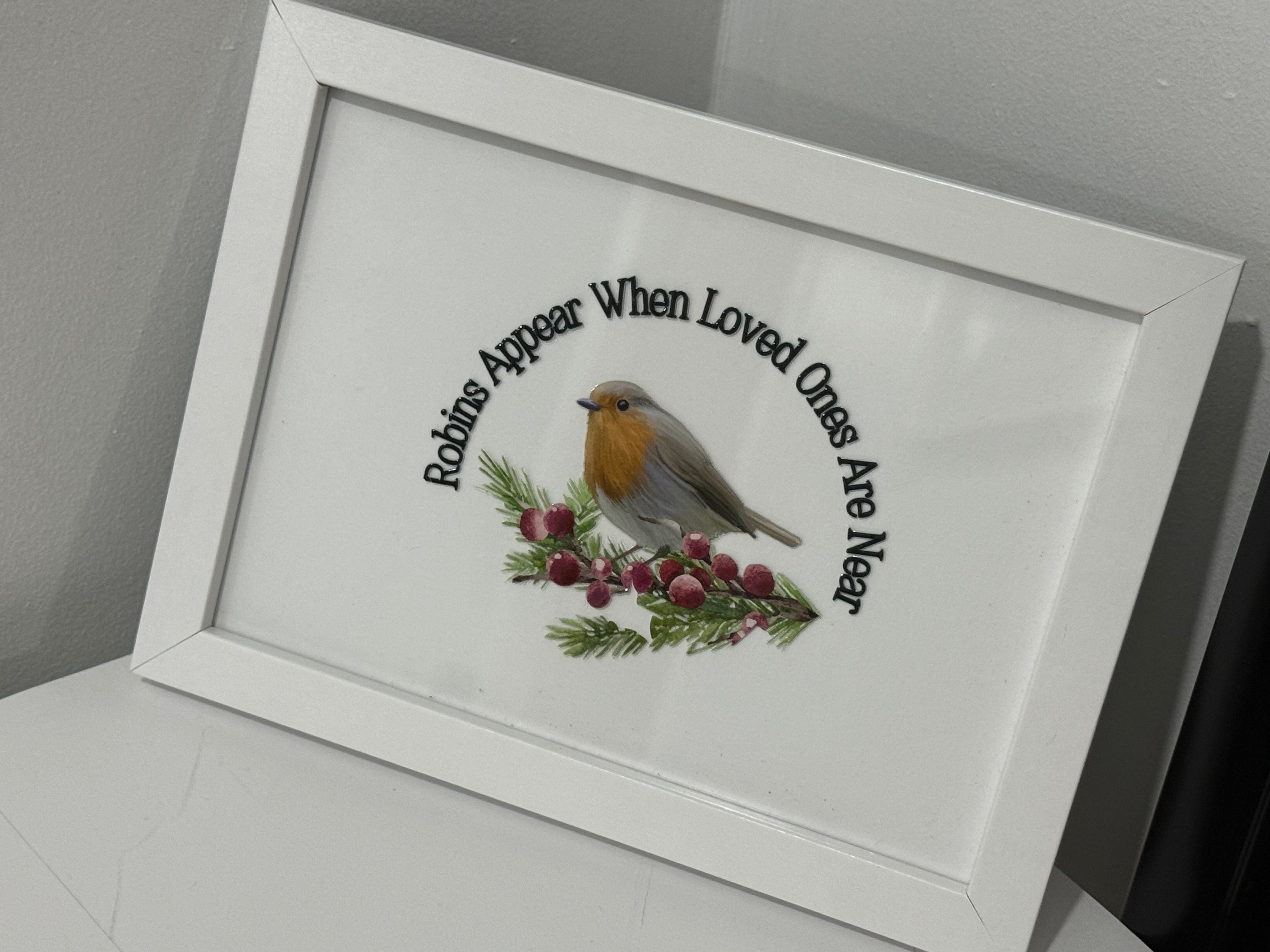 Framed Robin Picture