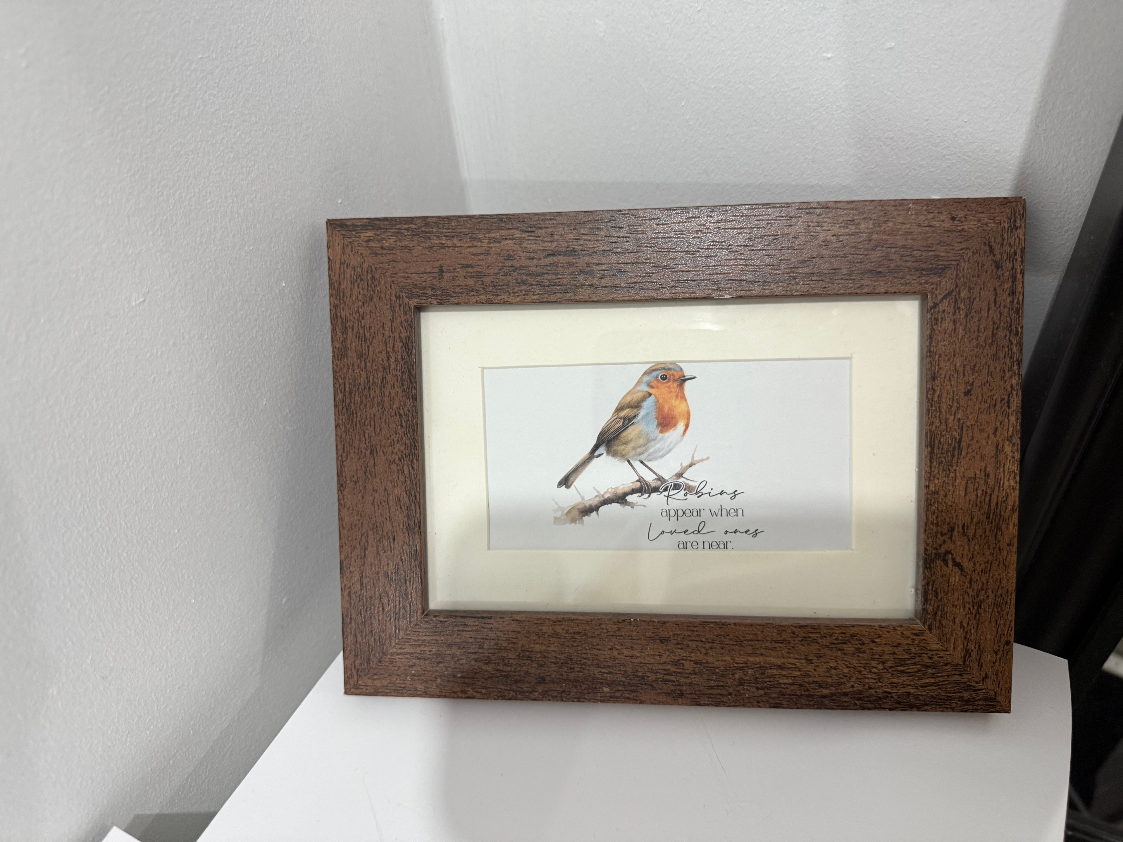 Framed Robin Picture
