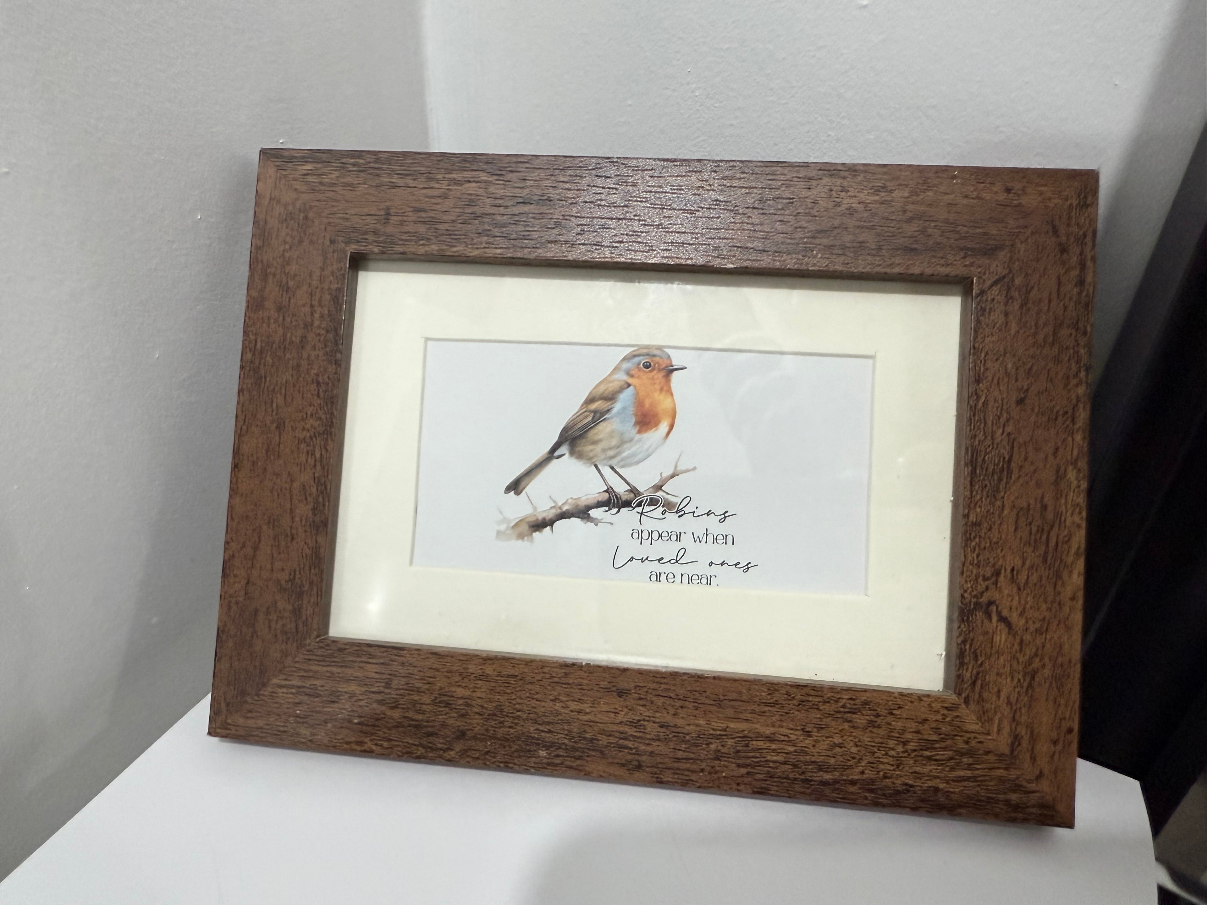Framed Robin Picture