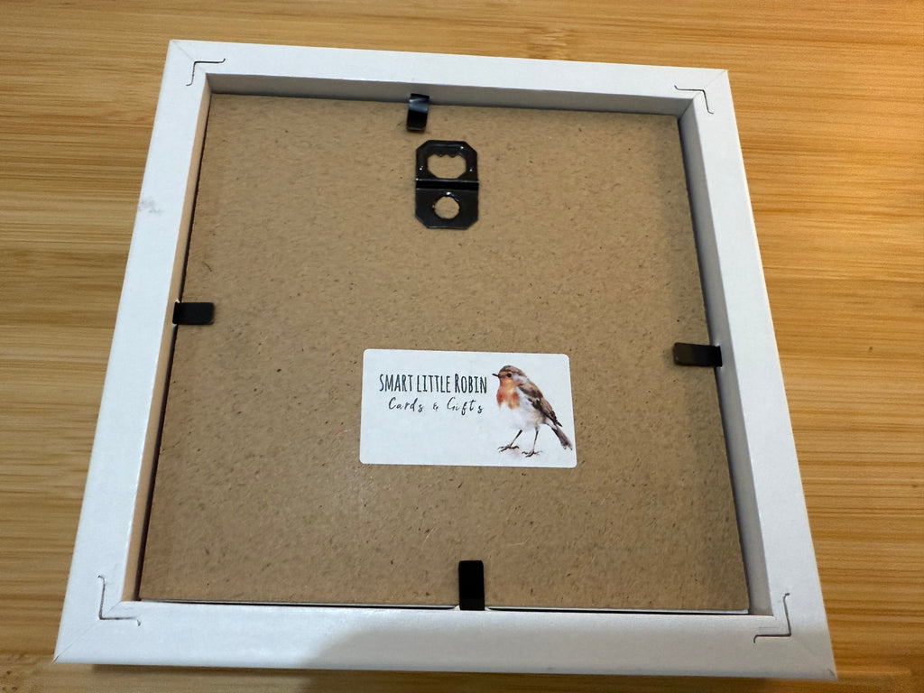Box Framed Robin Picture