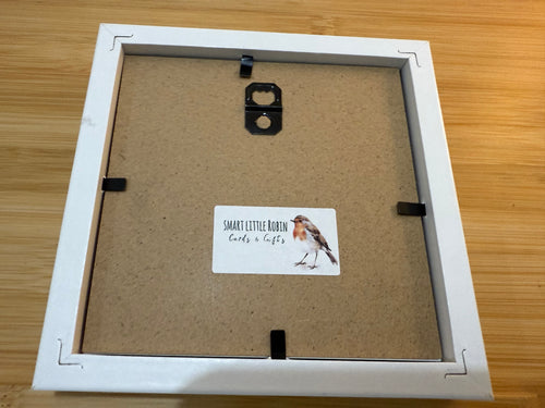Box Framed Robin Picture