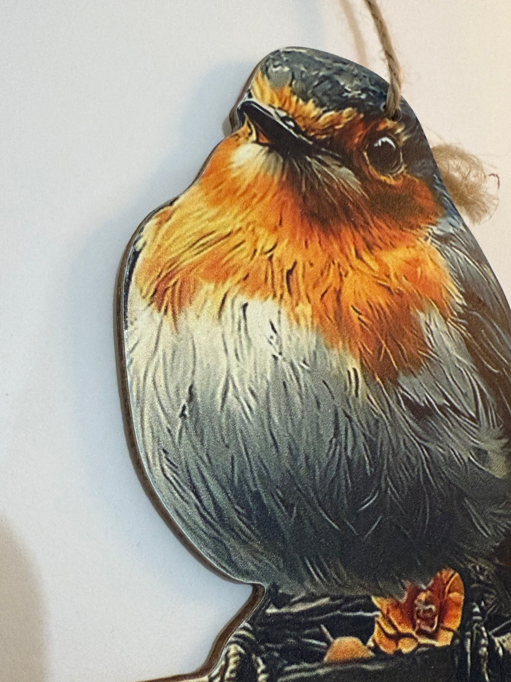 Robin Welcome Sign