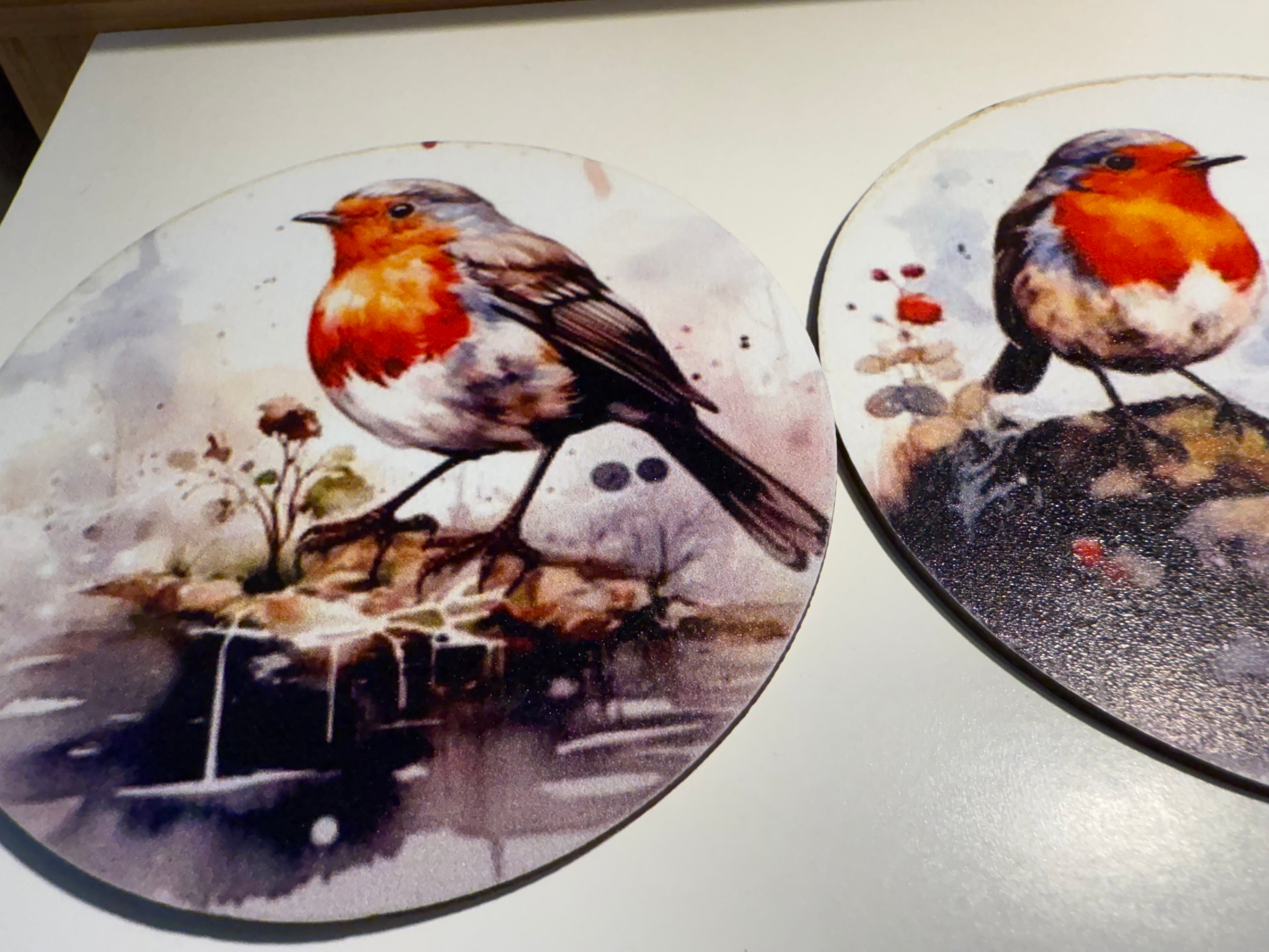 Robin Coasters
