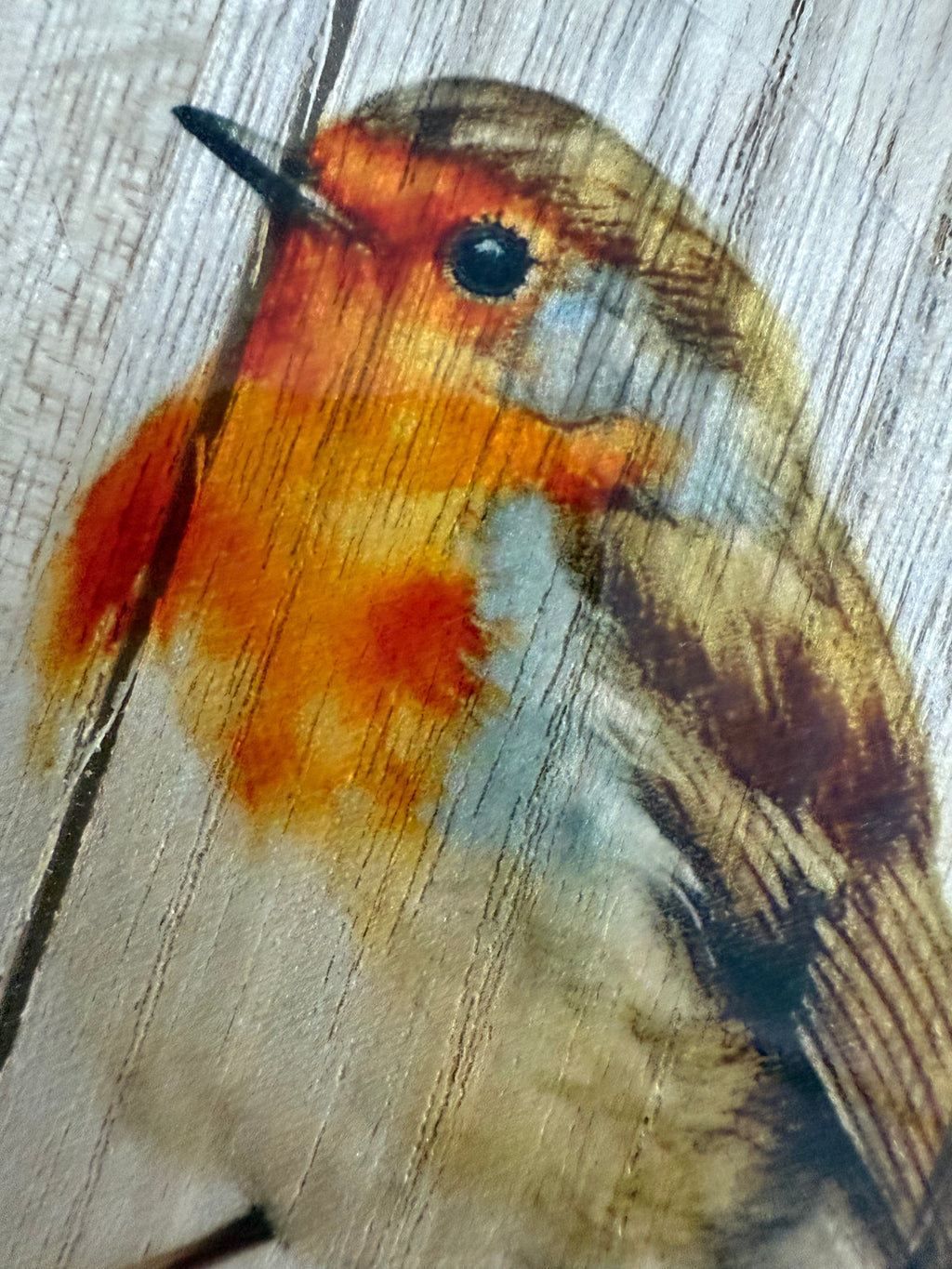 Large Robin Hanging Heart