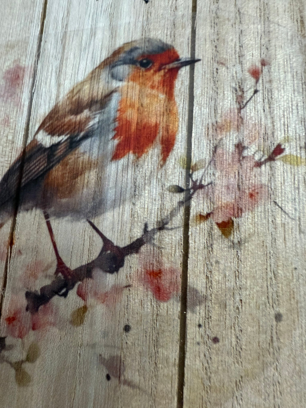 Large Robin Hanging Heart