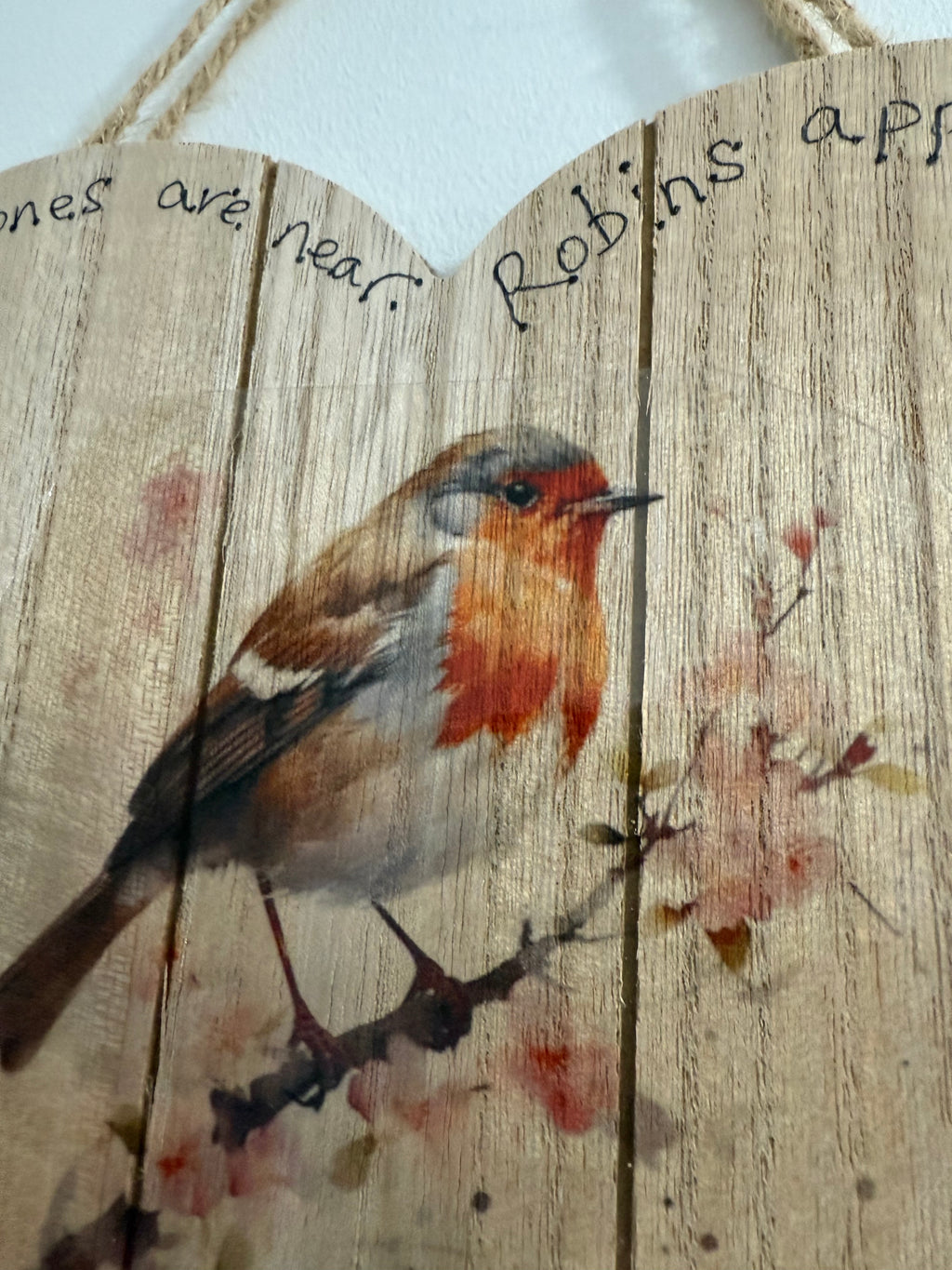Large Robin Hanging Heart